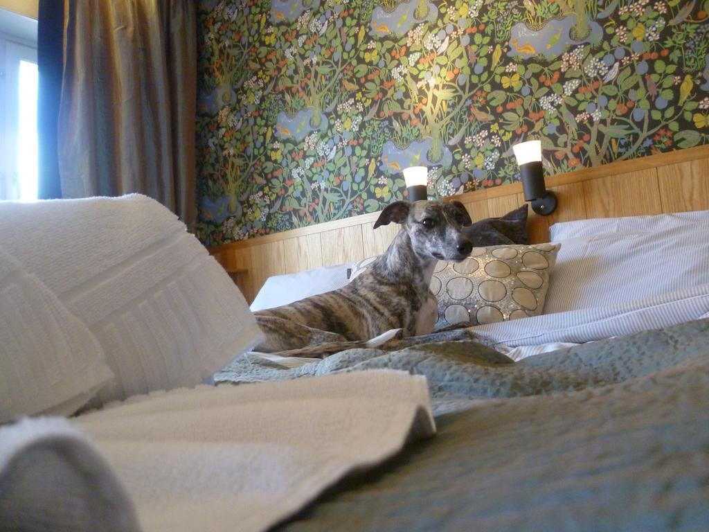 Sankt Olof Hotell & Krog 말렁 외부 사진